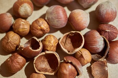 Background of peeled hazelnut kernels and shells and whole nuts Close upの写真素材