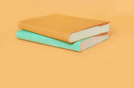 Two books with colored covers are on a uniform orange background
