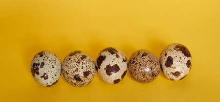 Five quail eggs lie in a row on a yellow background, close-up, banner