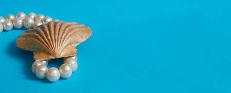 Marine layout. Shell and pearl beads on a blue background. Space for text. Bannerの写真素材