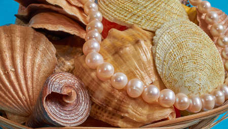 Many different shells and pearl beads in a basket on blue