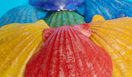 Marine layout. Seven shells painted in rainbow colors on a blue background. Space for text