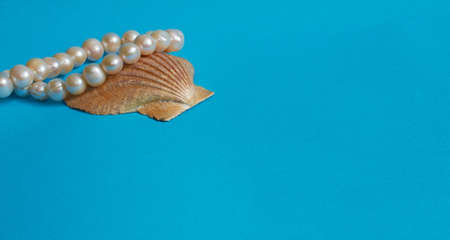 Marine layout. Shell and pearl beads on a blue background. Space for text