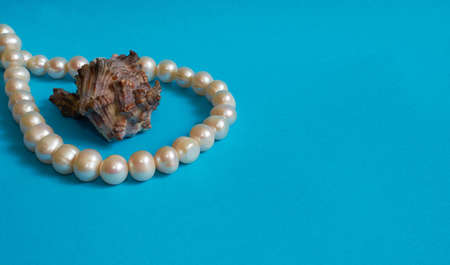 Marine layout. Shell and pearl beads on a blue background. Space for textの写真素材
