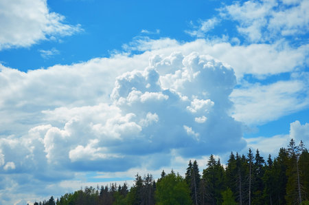 Beautiful blue sky with large clouds over a coniferous forest. Summer landscape.の写真素材