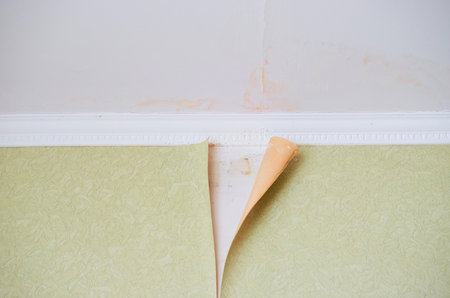 Removing old paper wallpaper from the wall in a room of a residential building, renovating an apartment.の写真素材