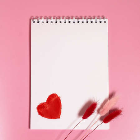 Empty notebook with a spring, a red textile heart and dried lagurus flowers on a pink background. square formatの写真素材