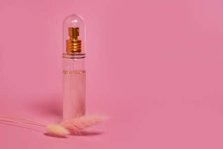 A glass transparent perfume bottle and dried lagurus flowers