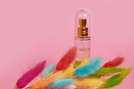 A glass transparent perfume bottle and a bouquet of dried lagurus flowers on a pink background. copy space, side viewの写真素材