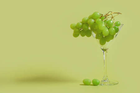 A bunch of green grapes in a martini glass on a colored background. Space for textの写真素材