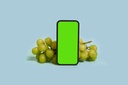 online shopping. A smartphone with a green screen and grapes on a blue background. Mock upの写真素材