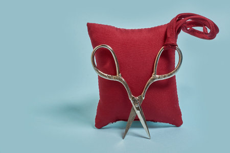 A needle pad and scissors on a blue background. Templateの写真素材