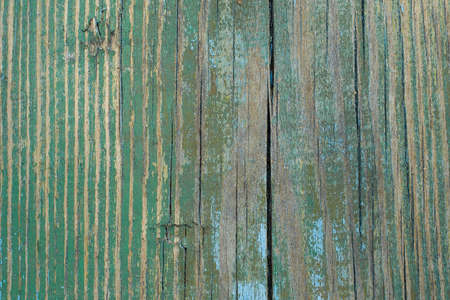 The background is made of old blue wooden boards with vertical cracks. horizontal formatの写真素材