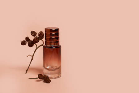 A perfume bottle made of dark glass with dry alder branches on a colored background. copy spaceの写真素材