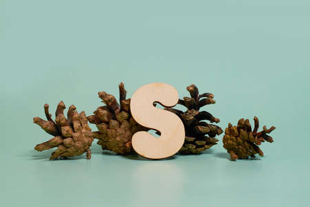 Letter S. A wooden letter of the English alphabet and four pine conesの写真素材