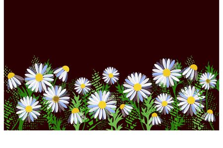 Cute chamomile flowers panorama view on a black background. Symbol of spring, life. For use on website, banner, poster, school, children.のイラスト素材