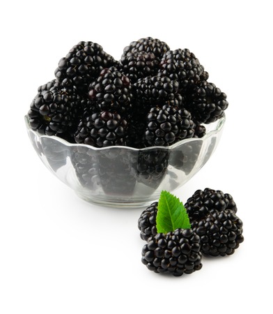 BlackBerry isolated in glass bowl on white backgroundの写真素材