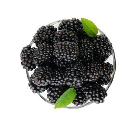 BlackBerry isolated on white background. Top view. Glassの写真素材