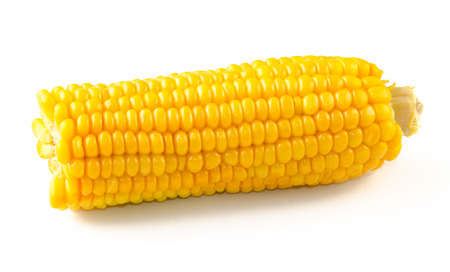 boiled corn isolated on white background. Front view.の写真素材
