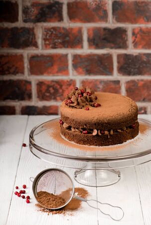 Chocolate cake with berries and cocoa powder on white wooden background. Authentic.の写真素材