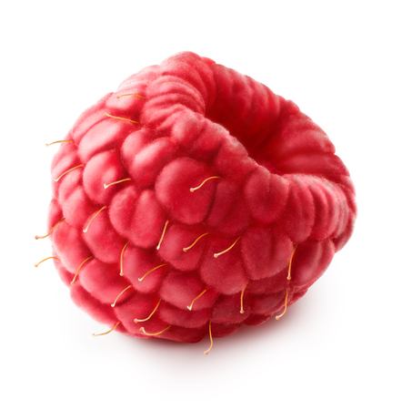 isolated berry one fresh raspberry fruit on white background with clipping path macro close upの写真素材