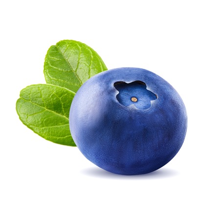 Fresh blueberries with leaves. Berry isolated isolated on white background by clipping path. Macro.の写真素材