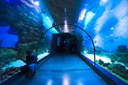 Moscow, Russia - April 16, 2017: Moskvarium Oceanography and Marine Biology Center at Moscows VDNKh Exhibition Center. Oceanarium tunnel, closeup. Man takes a photo of fish.のeditorial素材