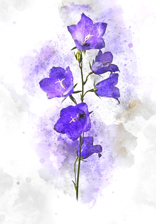 Digital painting of blue or purple bell flowersの写真素材
