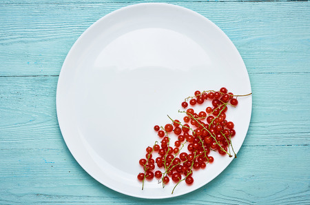 Red currants on a white plate. Berries on a turquoise or blue background.の写真素材