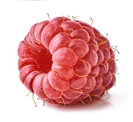 Ripe raspberry isolated on white background. Macro photography with great depth of field. DoF .の写真素材