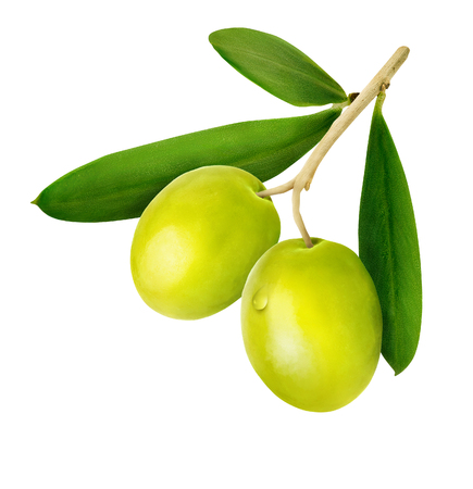 Olive branch with green olives isolated on white background. Olive with drop. Clipping path.の写真素材