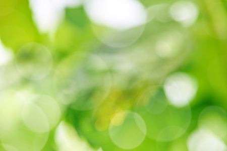 Natural green background with bokeh. Beautiful nature, green background, round bokeh.の写真素材