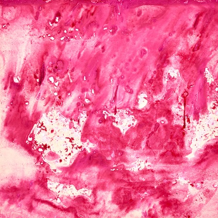 Abstract watercolor background. Rose or pink background.の写真素材