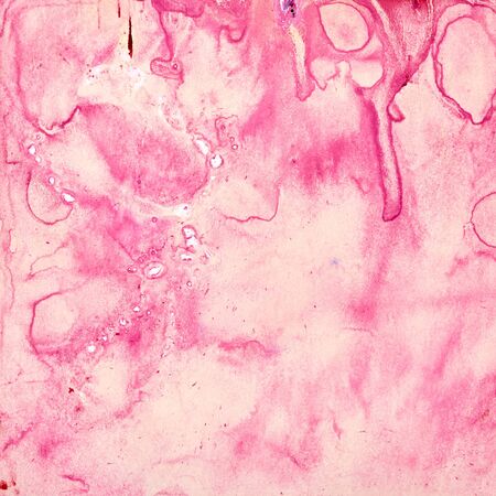 Abstract watercolor background. Rose or pink background.の写真素材