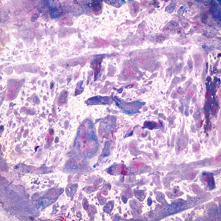 Abstract watercolor background. Lilac background.の写真素材