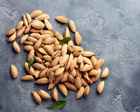 Almonds on gray concrete background with copy space. Top view.の写真素材