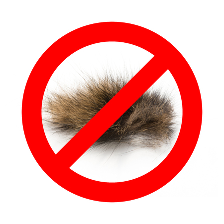 No cat. Cat fur isolated on white background. Allergy. Symbol.の写真素材