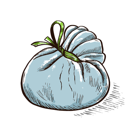 Cheese Burrata hand drawn engraving. Colored Vector illustration.のイラスト素材