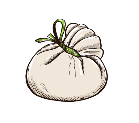 Cheese Burrata hand drawn engraving. Colored Vector illustration.のイラスト素材