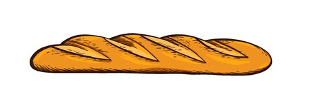 White bread. Baguette. Hand drawn vector. Color vintage engraving illustration for poster, label and menu bakery shop.のイラスト素材