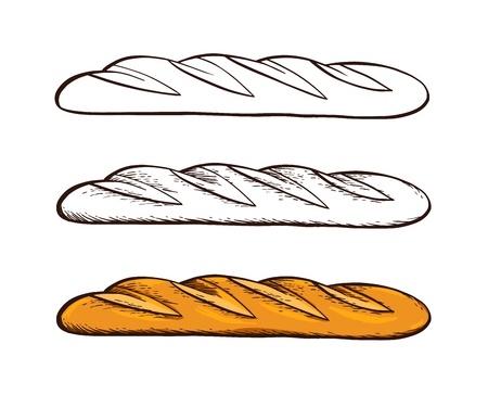 Set of hand drawn vector. White bread. Baguette. Color vintage engraving illustration for poster, label and menu bakery shop.のイラスト素材