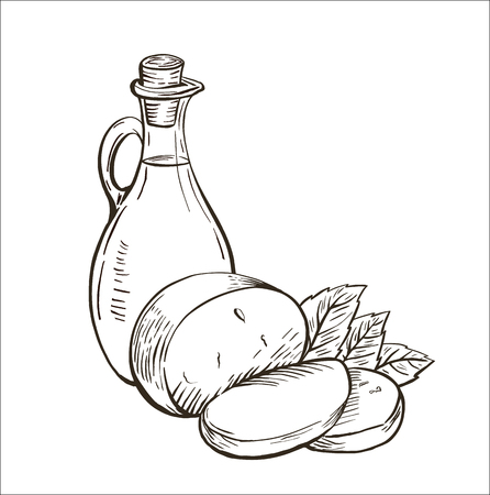 Olive oil in glass bottle with cheese mozzarella and basil leaves. Italian food. Hand drawn design element. Vintage vector engraving illustration for logotype, poster, web.の写真素材