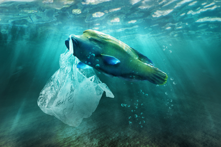 Plastic pollution in ocean environmental problem. Fish can eat plastic bags.の写真素材