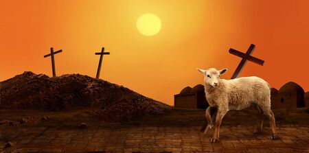 Jesus. Lamb of God. The atoning sacrifice of Jesus Christの写真素材