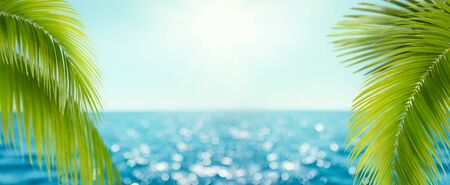 Beautiful blue sea background with palm leaves and beautiful realistic bokeh. Landscape of tropical summer. Summer vacation conceptの写真素材