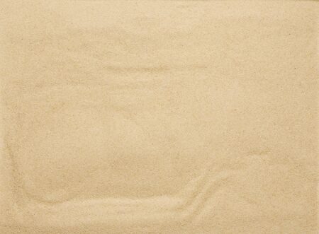 Tropical sand background. Sandy beach texture. Top viewの写真素材