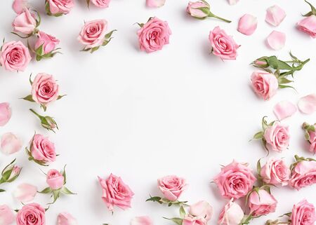 Rose flowers on white background with copy space for design, text. Top view of pink roses and rose buds.の写真素材