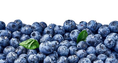 Fresh blueberry background. Blueberry leaves with berries and drops. Top view. Concept of healthy and dieting eating. Blue texture of blueberries.の写真素材