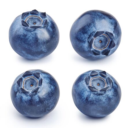 Set of fresh blueberries isolated on white background. Collection of raw bluberry.の写真素材