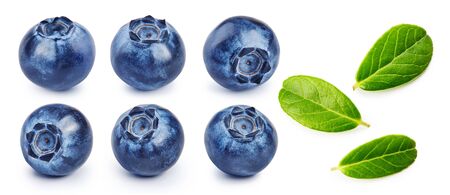Set of fresh blueberries and blueberry leaves isolated on white background.の写真素材